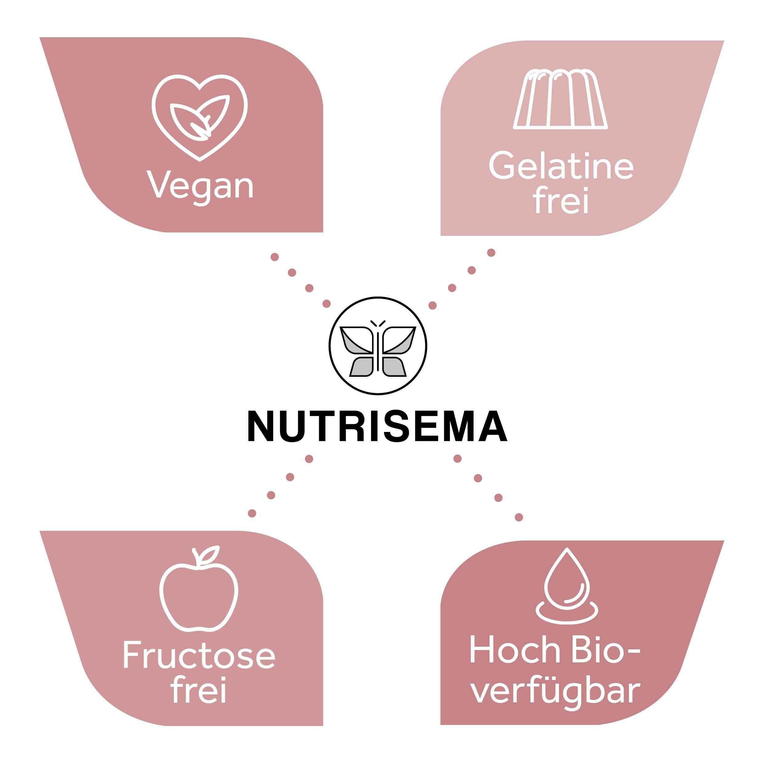 OPC Traubenkernextrakt I 360 vegane Kapseln (2er Pack) I im Glas I OPC Gehalt 400 mg/Tag (60% HPLC) I Trauben aus Italien und Deutschland I hoch bioverfügbar I in Deutschland produziert & laborgeprüft