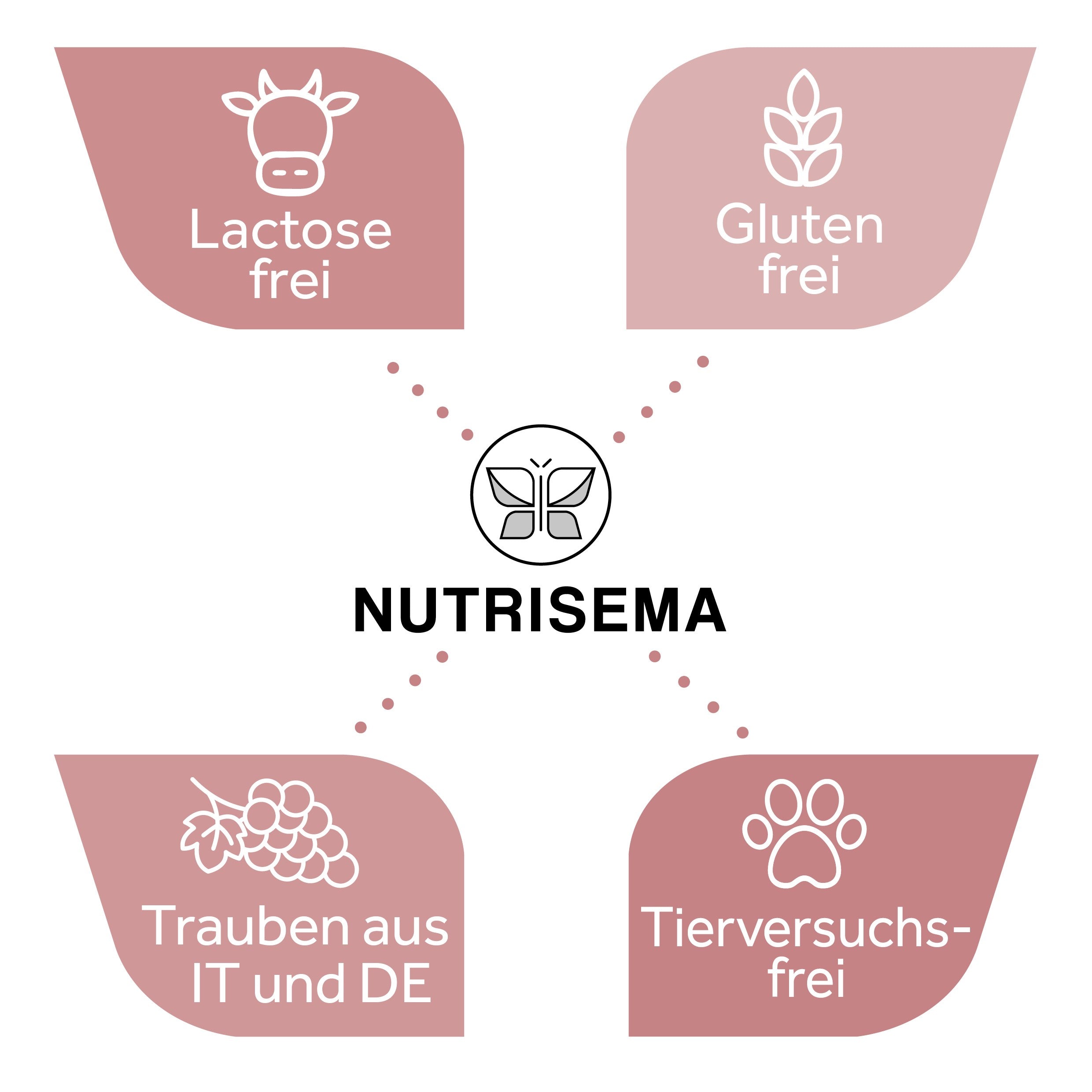 OPC Traubenkernextrakt I 360 vegane Kapseln (2er Pack) I im Glas I OPC Gehalt 400 mg/Tag (60% HPLC) I Trauben aus Italien und Deutschland I hoch bioverfügbar I in Deutschland produziert & laborgeprüft