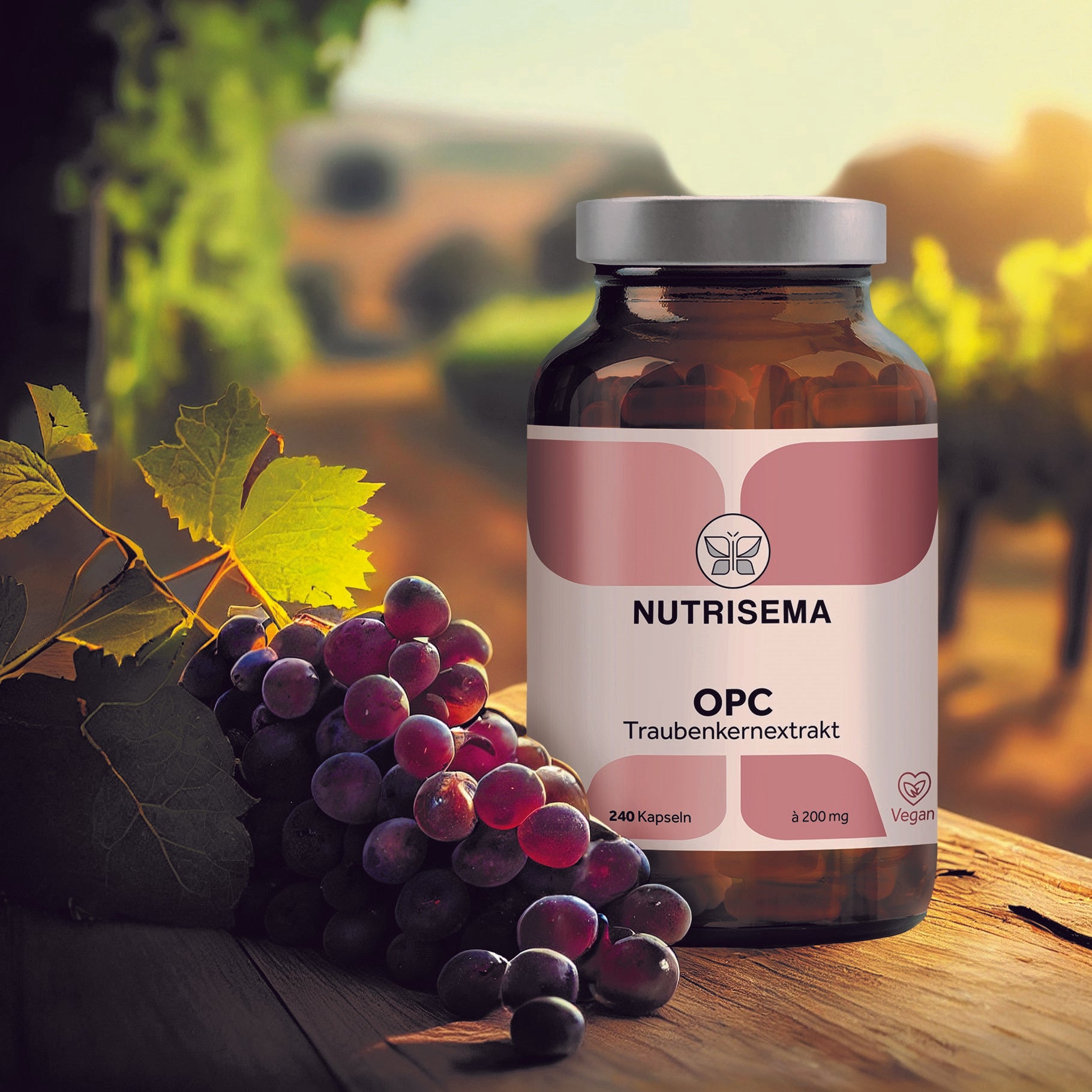 OPC Traubenkernextrakt I 480 vegane Kapseln (2er Pack) I im Glas I OPC Gehalt 400 mg/Tag (60% HPLC) I Trauben aus Italien und Deutschland I hoch bioverfügbar I in Deutschland produziert & laborgeprüft